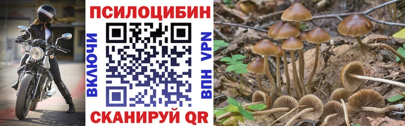 Галлюциногенные грибы мицелий  Купить где  Жуковка 